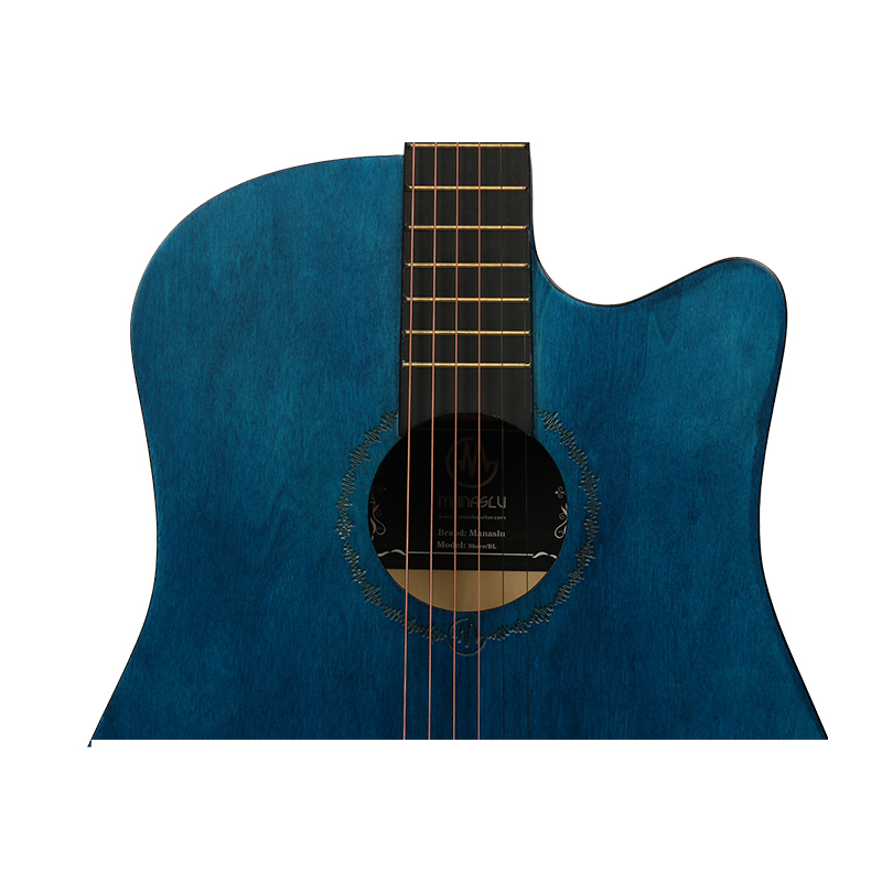 shree-guitar-blue-06