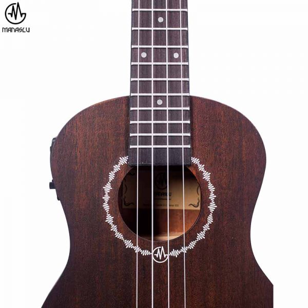 danfe-tenor-eq-brown-09